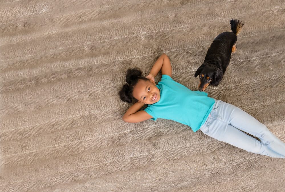Keep Your Carpets Cleaner With Clean Living Chem-Dry