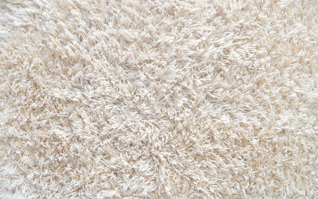 7 Essential Questions Answered About Oriental Rug Cleaning