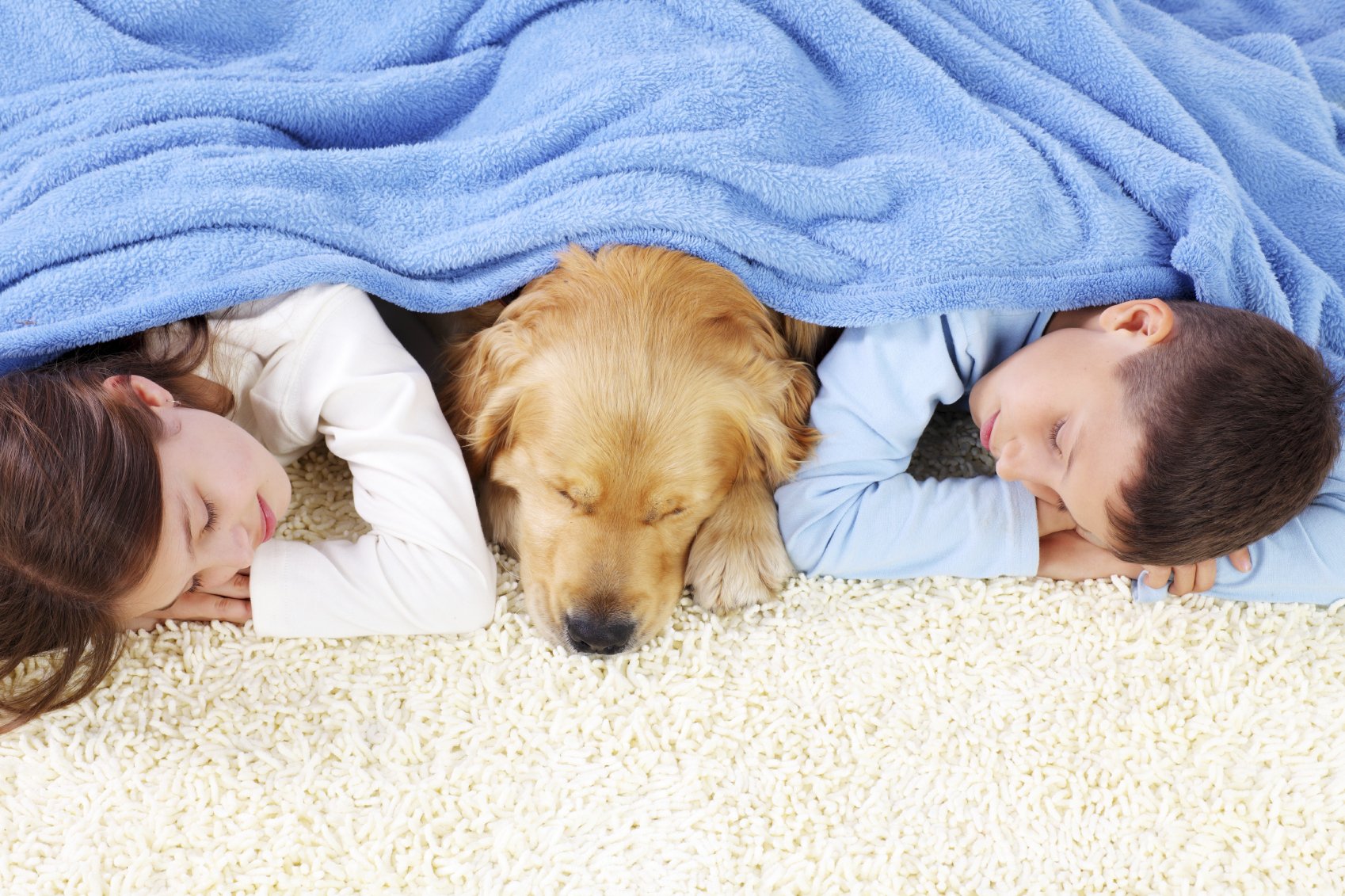 Boy, girl and dog sleeping covered with a blanket. kids and dog on carpet