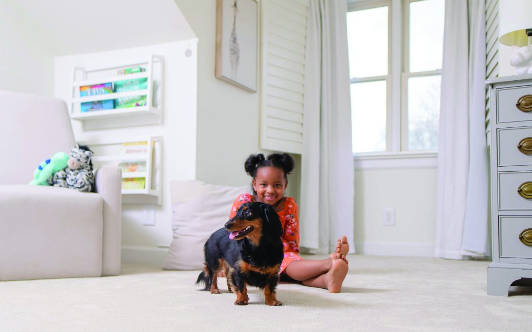 What’s The Worst That Can Happen if You Don’t Get Your Carpets Cleaned?